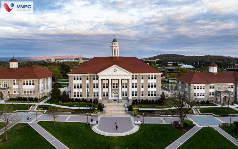 James Madison University 